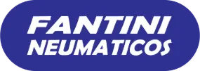 Fantini neumaticos